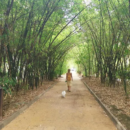 アパート Home2book Olympo *