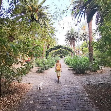 Home2book Olympo アパート サンタクルスデテネリフェ