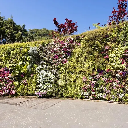 Home2book Olympo サンタクルスデテネリフェ