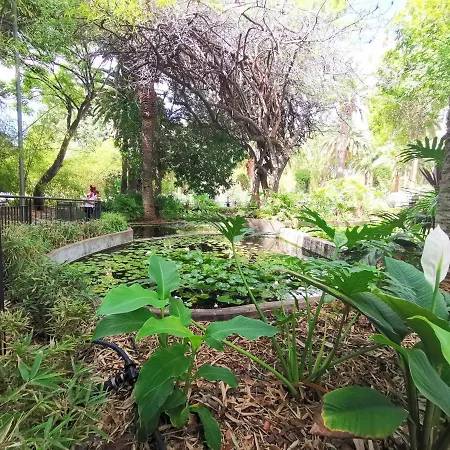 Home2book Olympo サンタクルスデテネリフェ